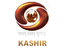 DD Kashir