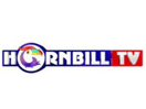Hornbill TV