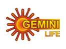 Sun Gemini Life